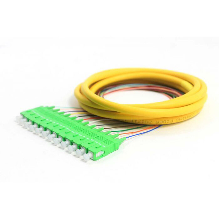 12 Strand Fiber Pigtail Singlemode SC/APC 3M(1m 900um fanout + 2m distribution)