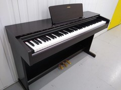 Yama Arius YDP- 103