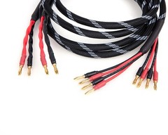 Canare 4S11 Bi-Wire Speaker Cable Pair, Black Flex Braided 2 to 4 Banana.