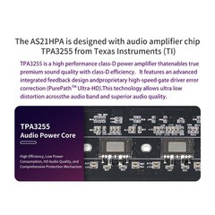 Audio AS21HPA HIFI Class 300W X 2+600W Stereo TPA3116 Bluetooth Digital9385