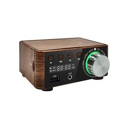 HiFi Audio Amplifier Bluetooth 5.0 Mini Power Class D 80W+80W DC 9V-24V USB RCA.