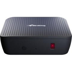 BirdDog PLAY 4K NDI Player w/ Pearstone HDMI Cable and Fastener Straps