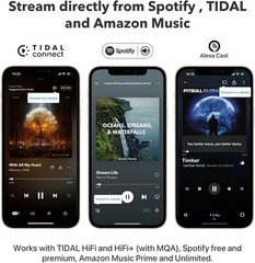 WiiM Mini AirPlay 2 Wireless Audio Streamer, Multiroom Stereo, Preamplifier