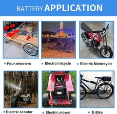48V 30Ah Lifepo4 Battery Pack for E B_ike Sc_ooter E_bi/ke 5A Charger 50A BMS