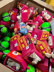 AMAZON Mystery Box General Merchandise Fun Liquidations Bundles Free Shipping