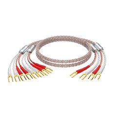 HIFI Silver-plated Bi-wire Speaker Cable High-end OCC Speaker Wire Y/Banana Plug