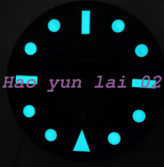 114060 no calendar window literal accessories 2836/3130 water no calendar dial