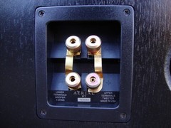 Awesome Aerial Acoustics Model 10T 3-Way Floor Speakers (Matched Pair) ~ Rare