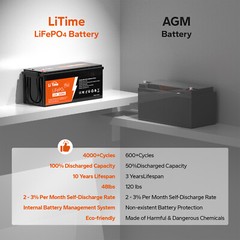 LiTime LiFePO4 12V 200Ah PLUS 200A BMS 2560W Lithium Battery for Off-Grid RV