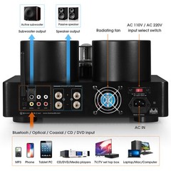 Douk Audio Hybrid Stereo Tube Integrated Amplifier with Bluetooth USB COAX OPT