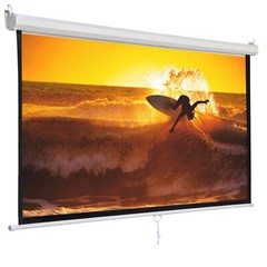 1:1 Projection Projector Screen Manual Pull Down Matte HD Movie Theater 120″
