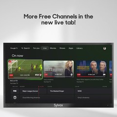 Sylvox Google Outdoor TV 43in Waterproof Smart TV 4K Voice Assistant 1000 nits
