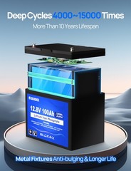 DC HOUSE 12V 100AH Lithium LiFePO4 Battery + BlueTooth + Low Temp Protection