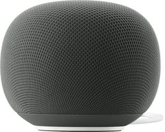Google Home Speaker Smart Speaker Gemini Voice Assistant (Hazel)