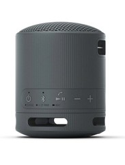 Sony SRS-XB100 Black Wireless Bluetooth Portable Travel Speaker-IP67 Waterproof