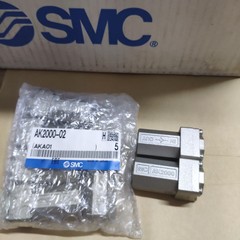 1PC One way valve AK2000-02 caliber 2 points