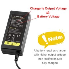 Charger for 25.5V Battery FY0422941500 Jetson JRAVE Rave SWAGTRON T5 T580