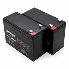 ExpertPower 12V 10AH SLA Replacement Battery for WP10-12SE, BP10-12T2 – 2 Pack