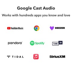 Amp Pro: Multiroom Streaming Amplifier | Compatible with Google Cast, Alexa |…