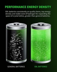 EBL C D Size Batteries Rechargeable ，Optional LCD Charger for C &D cell Battery
