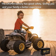 12V 10Ah Lithium Ion LiFePO4 Deep Cycle Battery 2 Pack, 2000+ Cycles, Rechargeab