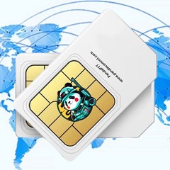 GLOBAL DATA IOT SIM CARD 250mb p/m for 360 days 4G/LTE USA Ship