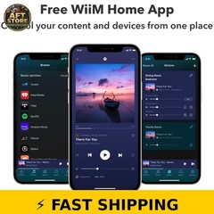 WiiM Pro Plus AirPlay 2 Receiver – Multiroom Streamer