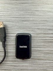 SanDisk Clip Sport Go 32GB MP3 Player with/Cable & Charger – Bundle