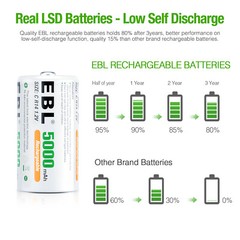 Lot D C Cell Size Rechargeable Batteries High Capacity NiMH /LCD Battery Charger