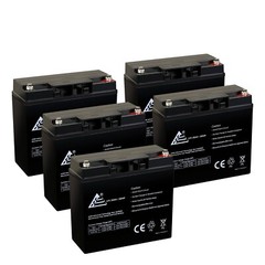 ExpertBattery – 5 packs of 6_DZM-20 Replacement SLA AGM Rechargeable Batteries