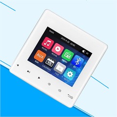 Mini Wall Amplifier Bluetooth Smart Sound System Theater Stereo Ceiling Speaker