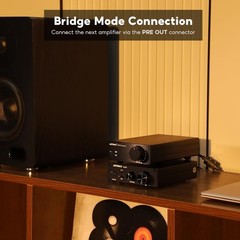 Premium 300W x2 Mini Power Amplifier – HiFi Class D Stereo Amp for Home Audio^-~