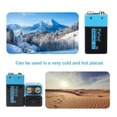 Pallus 9v Lithium Rechargeable Batteries 850mAh 9V Li-ion Batteries Charger Lot