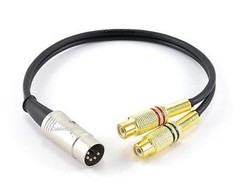 CablesOnline 1ft 5-Pin Din Male to 2RCA Gold Female Audio Cable
