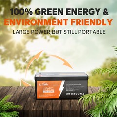 Litime 12V 300Ah LiFePO4 Lithium Battery 3840Wh For RV Marine Solar-refurbished