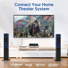 3.3ft Fiber Optic Optical Cable with Gold-Plated Connectors for Soundbar