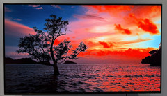 Sony XBR-55A8G BRAVIA 55″ 2160p (4K) UHD OLED Smart TV – Black *Few Dead Pixels