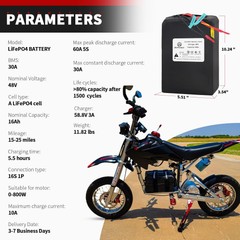 48V Lifepo4 Battery 20Ah 30Ah 35Ah Lithium for EBike Scooter 2000W with Charger