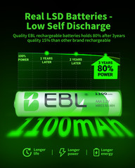 Lot EBL AA AAA Rechargeable Batteries Ni-Mh 2800mAh 2300mAh 1100mAh 800mAh + Box