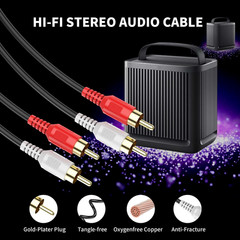 RCA Cable 30Ft,2Rca M/M Stereo Audio Cable [24K Gold Plated | Copper Core] 2RCA