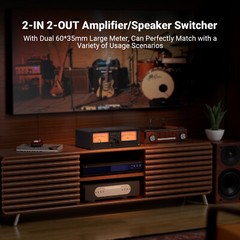 NEOHIPO ET30 Dual Analog VU Meter, 2-Way Amplifier/Speaker Audio Switcher Box