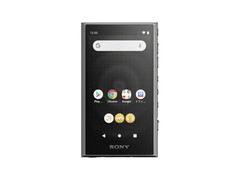 SONY Walkman NW-A306 NW-A307 A series memory type Black Blue Gray Music 2023