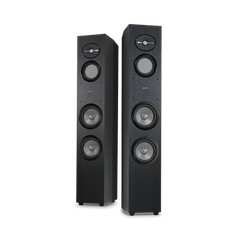Reference 263, 6-1/2″ 3-Way Floorstanding Loudspeaker