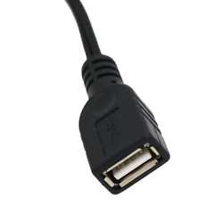 USB 2.0 A Female to 2 RCA Phono Female Audio Video AV PC Composite Adapter Cable