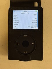 Apple iPod 80GB Black A1136 W/ Case, Charger, Headphones & 1904 Songs Tested