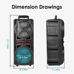 Portable Dual FM Radio and Bluetooth Speaker Karaoke w/Mic for Home Parties