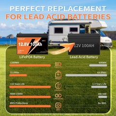 12V 100Ah LiFePO4 Lithium Battery BMS Deep Cycle For RVs Backup Power Off-grid