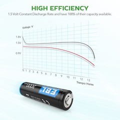 EBL AA Lithium 3000mAh AAA 1200mAh Batteries Non-rechargeable 1.5V + Case Lot
