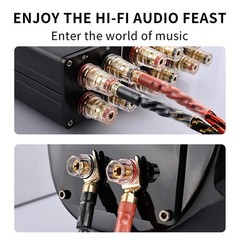 High-Quality 9 AWG Speaker Cable 2-Pack – 2 Banana Plugs to 4 Spades, 8.20ft, Ny