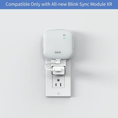 256GB Microsd Card and All-New Blink Sync Module XR Mount, No-Drilling Sync Modu